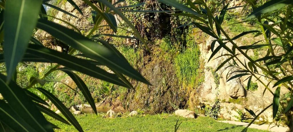 Molino Del Caracol Villa Benaojan Ngoại thất bức ảnh