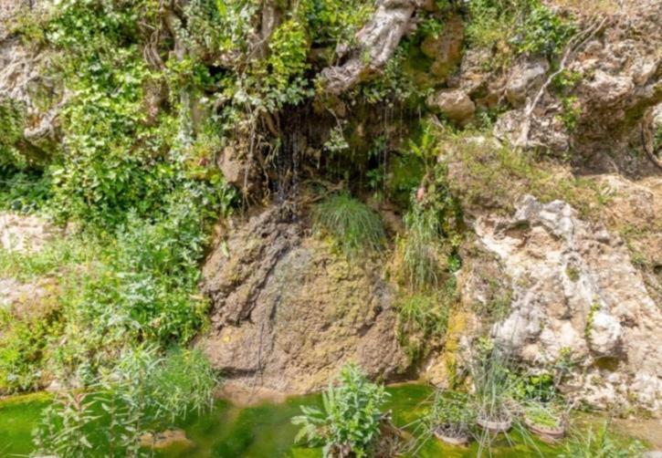 Molino Del Caracol Villa Benaojan Ngoại thất bức ảnh